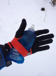 Hydro Set palm with 8oz flask secured