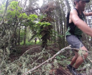 Lots of blowdown made for some good trail steeplechase
