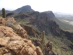 I wouldn't have seen this view in Tucson, AZ if I hadn't run to it!