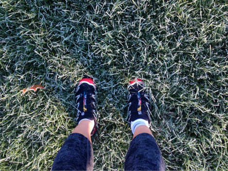 I remember this peaceful and crisp Saturday morning when I saw my first frost of fall 2014. It’s always the little things that captivate, eh?