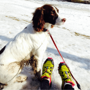 Salomon Speedcross - Shoes that help me keep up with this 4-legged guy