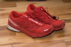 Salomon S-LAB X-SERIES shoes